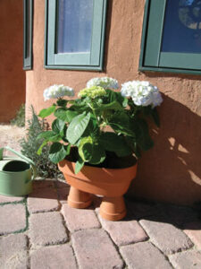 Try This: Terra Cotta Pot Garden Planter Image